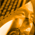 stadyn_image3.gif (6537 bytes)
